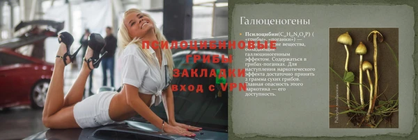 PSILOCYBIN Щигры
