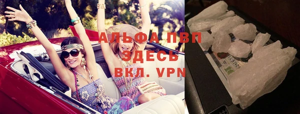 PSILOCYBIN Щигры