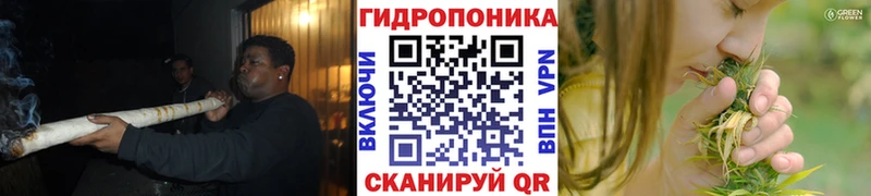 Купить  Советский  Бошки Шишки марихуана 